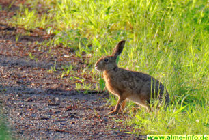 Osterwanderung für Familien