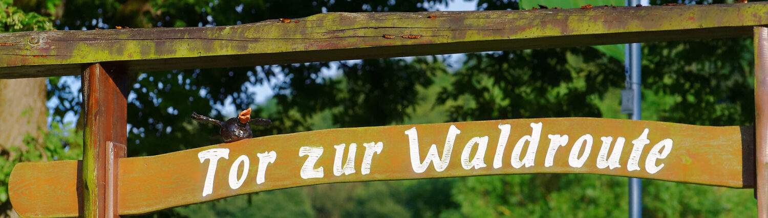 Alme – Das Dorf an den Quellen