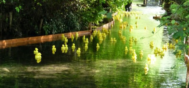 Wasserradfest mit Treckertreffen