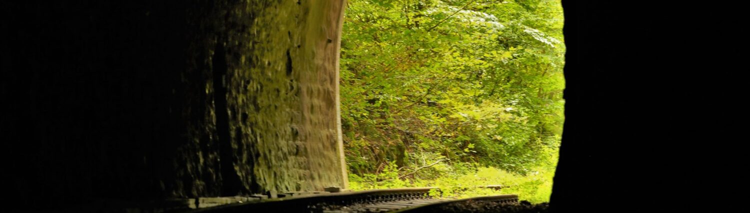 Alme – Das Dorf an den Quellen