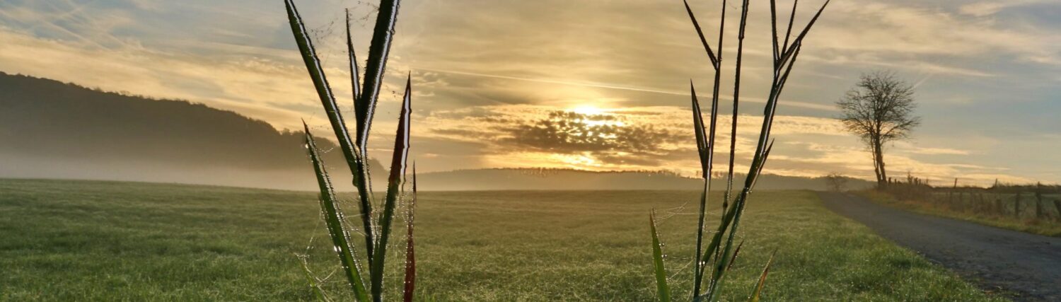 Alme – Das Dorf an den Quellen