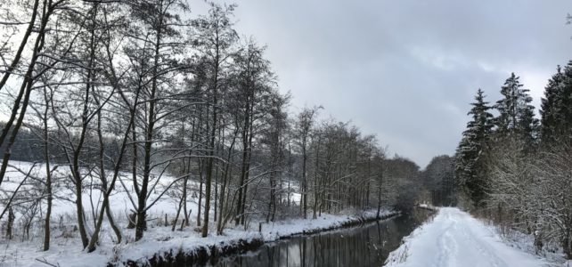 Steigende Pegelstände Steigende Pegelstände