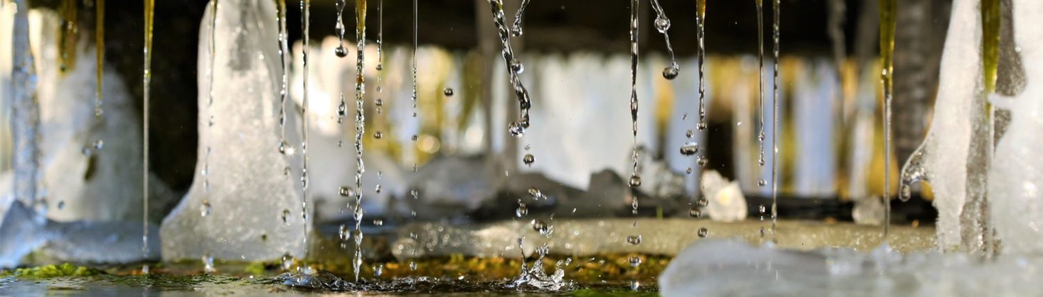 Alme – Das Dorf an den Quellen