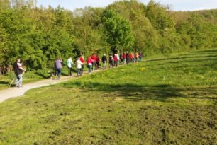 Offener Wandertreff in Alme