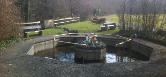 Umbau des Tretbeckens