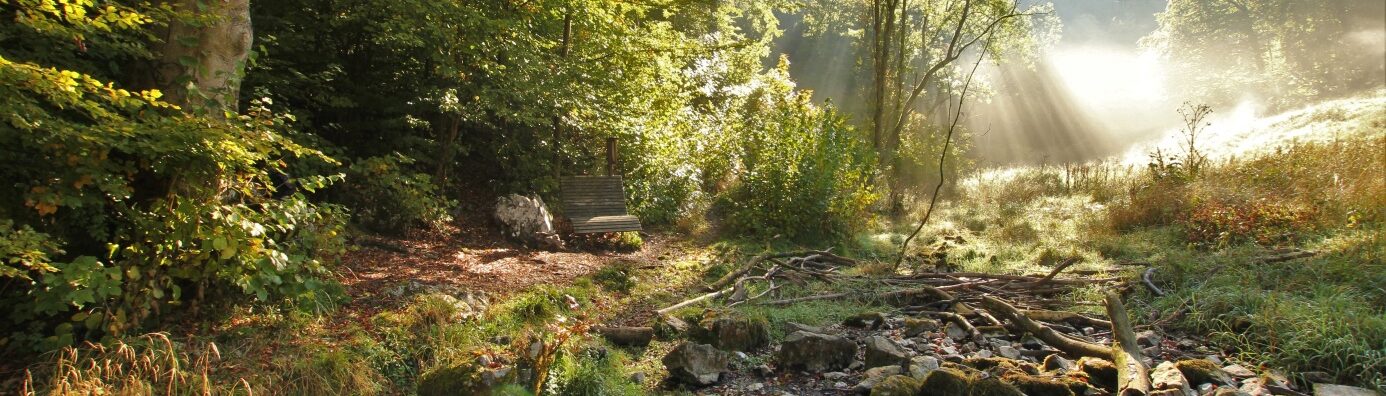 Alme – Das Dorf an den Quellen