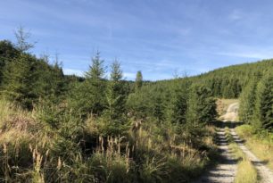 Offener Wandertreff