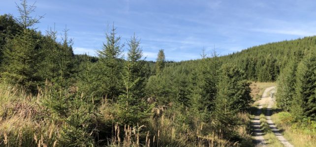 Offener Wandertreff