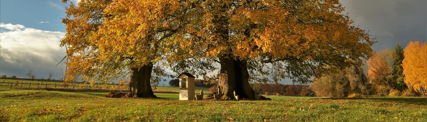 Alme – Das Dorf an den Quellen