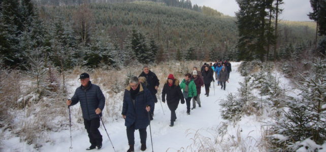 Winterwanderung der ALME AG