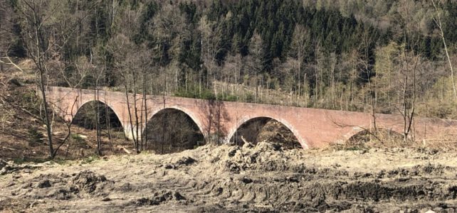 Wer war eigentlich Mausi…?