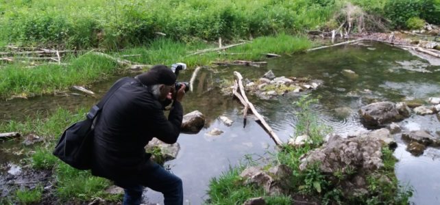 Reisejournalist recherchierte an den Almequellen