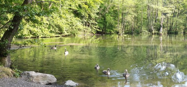 Sommerprogramm startet