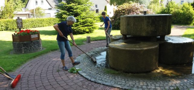 Arbeitseinsatz am Entenstall
