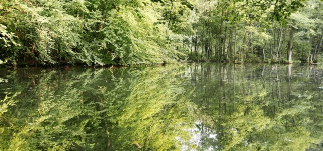 Fototsafari an den Almequellen