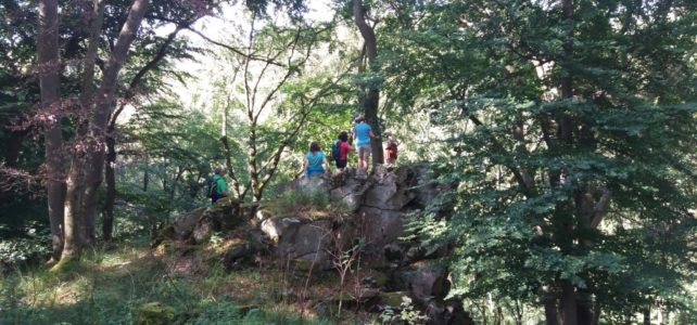 Klimafreundliche Wanderungen