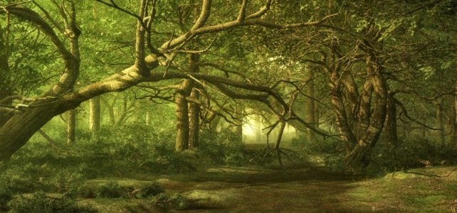 Go meditative – Achtsam unterwegs