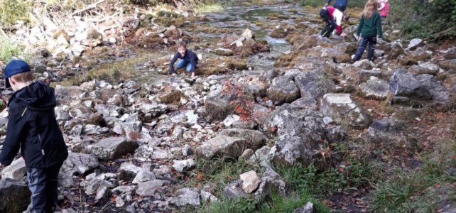 Wanderungen bei traumhaftem Herbstwetter Wanderungen bei traumhaftem Herbstwetter