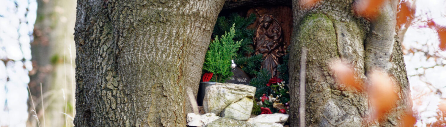 Alme – Das Dorf an den Quellen