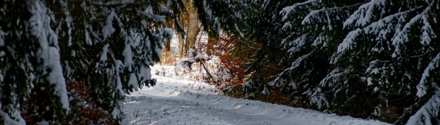 Alme – Das Dorf an den Quellen