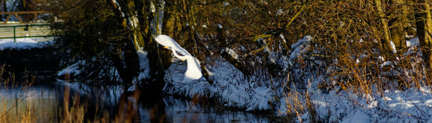 Alme – Das Dorf an den Quellen