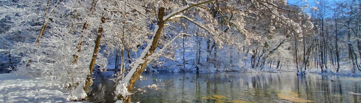 Alme – Das Dorf an den Quellen