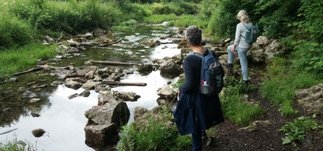 Warum war Annette von Droste-Hülshoff in Alme?
