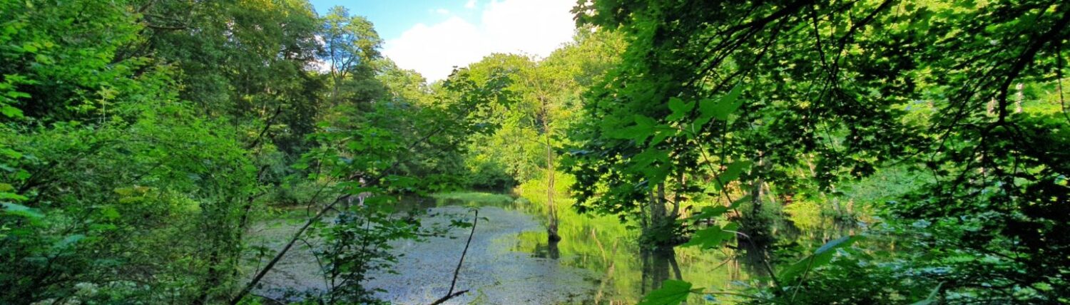 Alme – Das Dorf an den Quellen