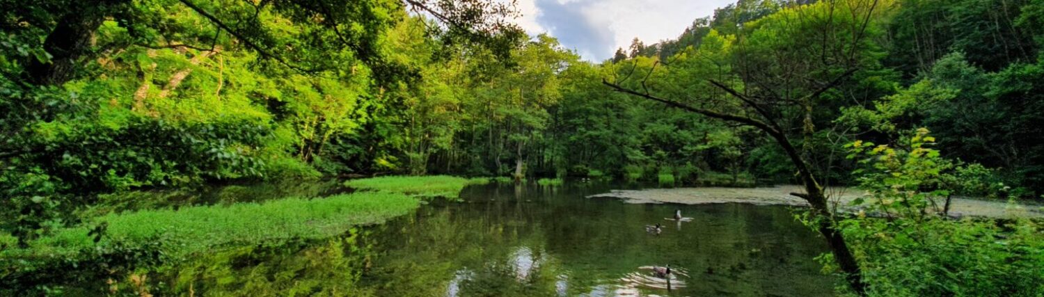 Alme – Das Dorf an den Quellen