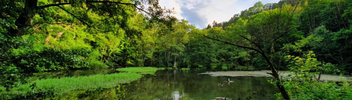 Alme – Das Dorf an den Quellen