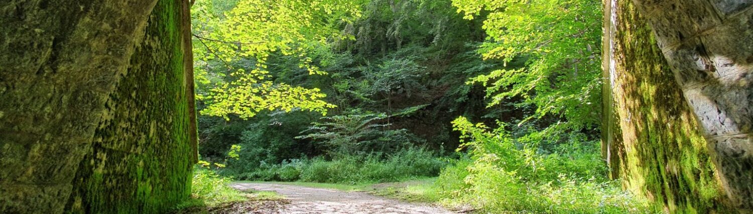 Alme – Das Dorf an den Quellen