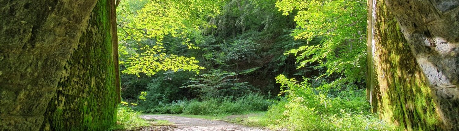 Alme – Das Dorf an den Quellen
