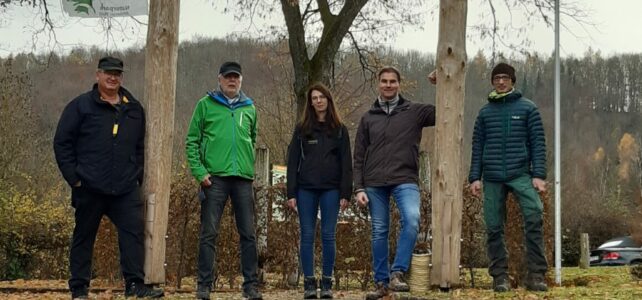 Wegemanagement Waldroute