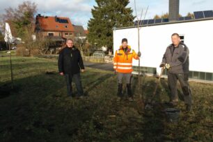 Obstbäume am ehem. Bahnhofsgelände