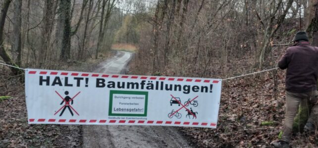 Almequellen weiter gesperrt Almequellen weiter gesperrt