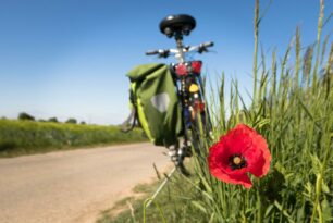 Radwegenetz Alme