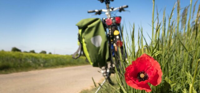 Radwegenetz Alme Radwegenetz Alme
