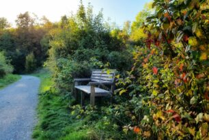 Der goldene Herbst in Bildern