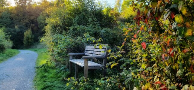 Der goldene Herbst in Bildern
