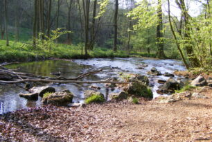 Naturkundliche Wanderung