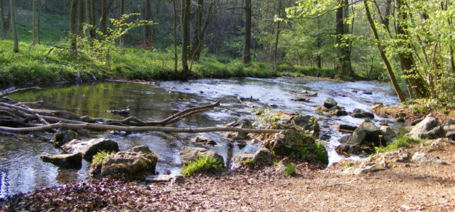 Naturkundliche Wanderung Naturkundliche Wanderung