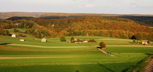 Offener Wandertreff