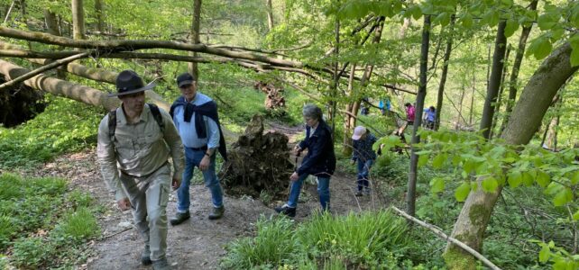 Mit dem Ranger auf der Waldroute