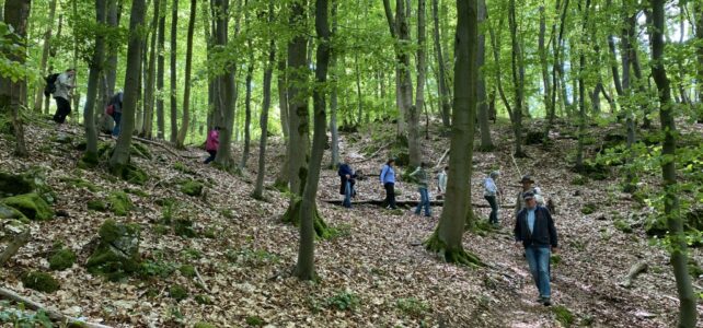 Offener Wandertreff