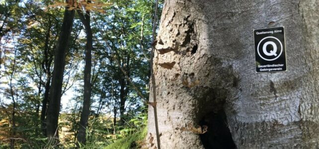 Offener Wandertreff