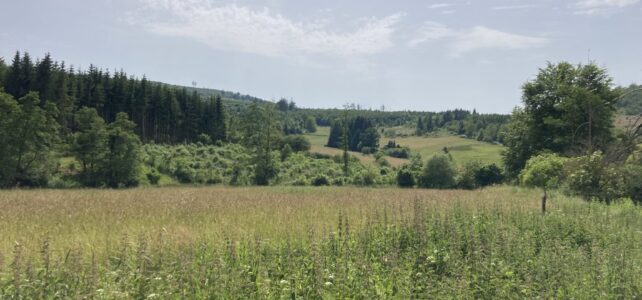 Wandern und beömmeln