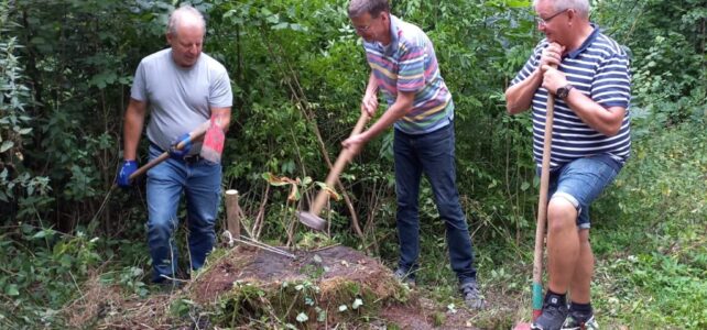 Neue Kastanien für den Kreuzweg Neue Kastanien für den Kreuzweg