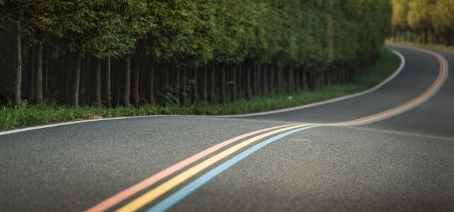 Geschwindigkeitsanzeigegeräte für Alme