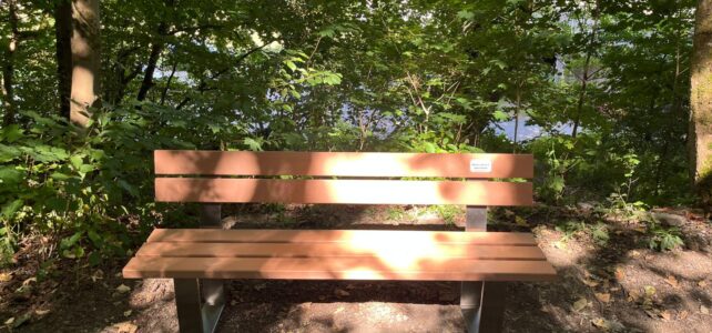 Neue Bänke in und rund um Alme