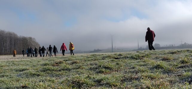 Erste Wanderungen des neuen Jahres
